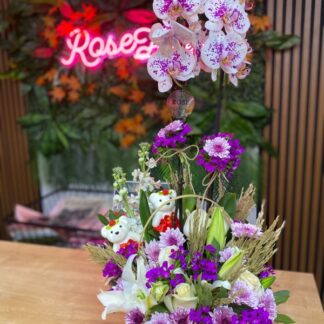 ithal orkide arajman