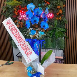 mavi ithal 2 dal orkide