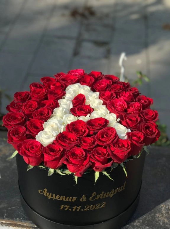 Başharf Kutu Premium
