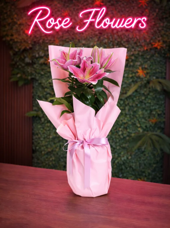 Pembe Lilyum