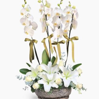 4 dal orkide arajmanı