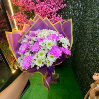 karışık papatyalar