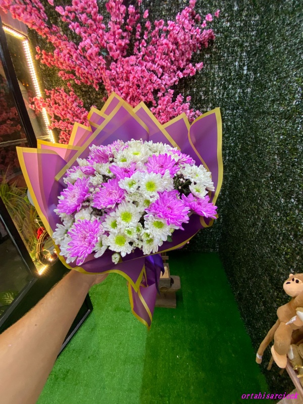 karışık papatyalar