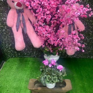 mevsimin en özeli sklamen