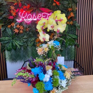 2 dal orkide arajmanı