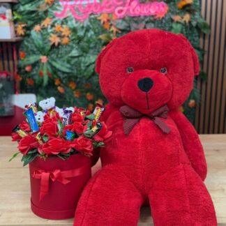 büyükayı ve çikolatakutusu