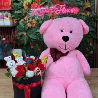 büyükayı ve kutuarajmanı