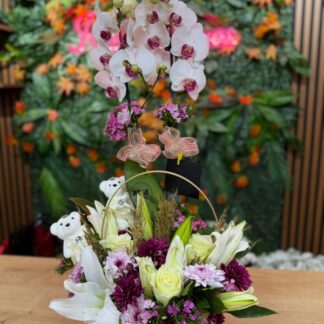 sepette orkide arajmanı